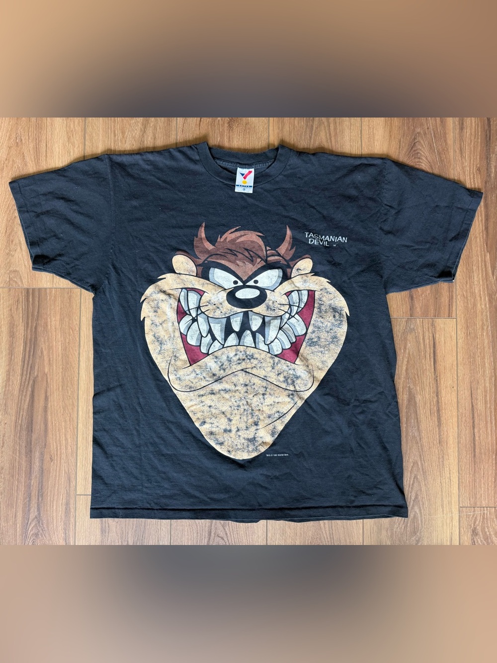 Vintage Distressed 1993 Taz Devil T Shirt Looney Tunes Size XL Single Stitch